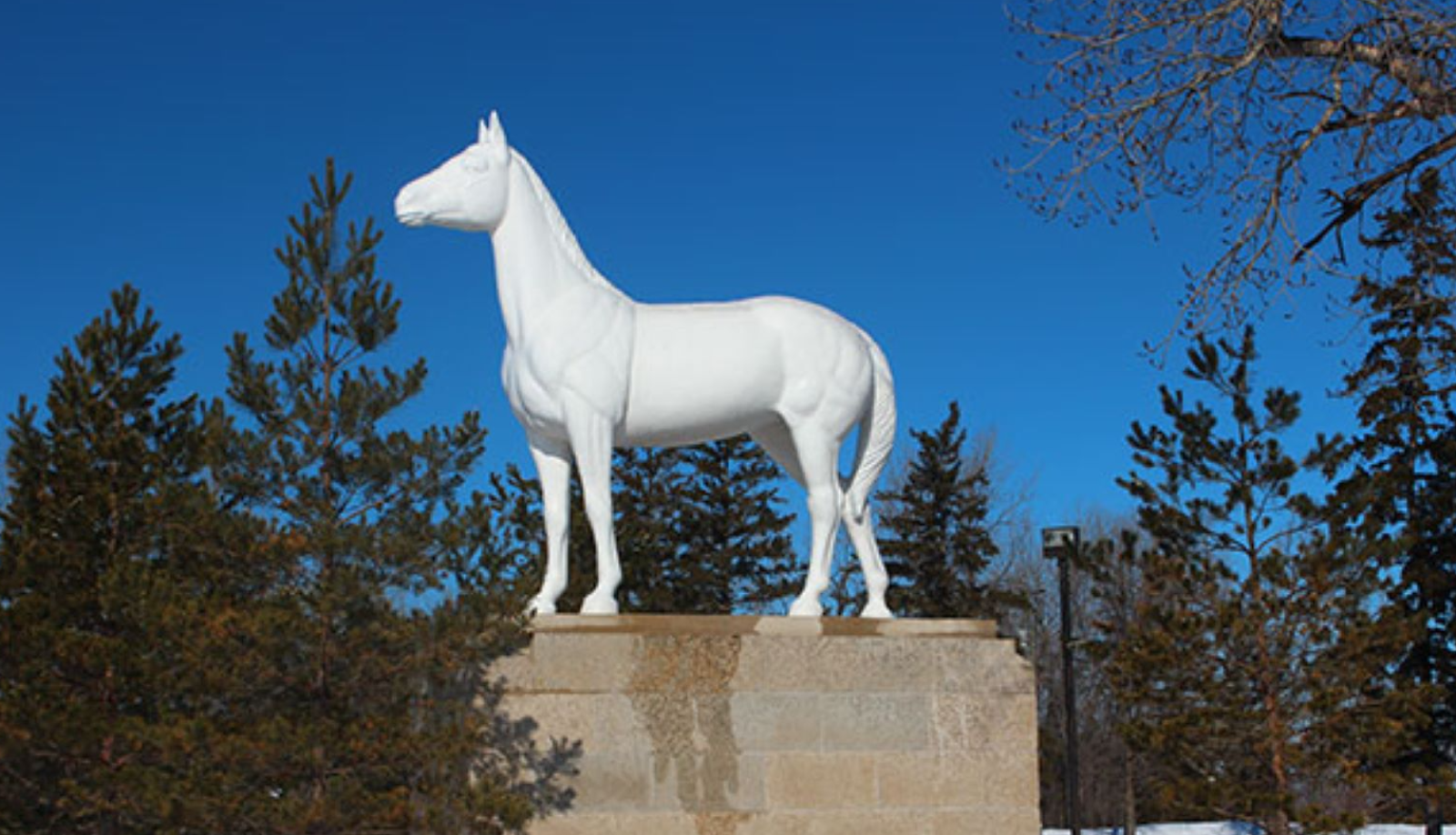 White Horse 